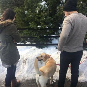 Meet your Posher, Michel